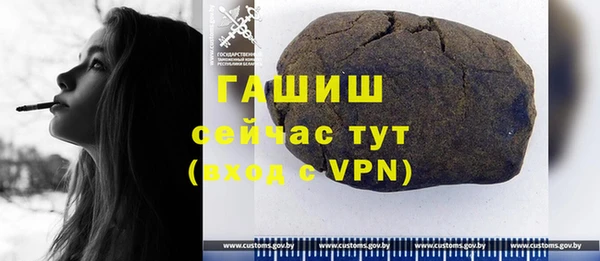 мдпв Гатчина