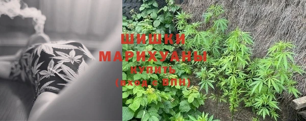 a pvp Абаза