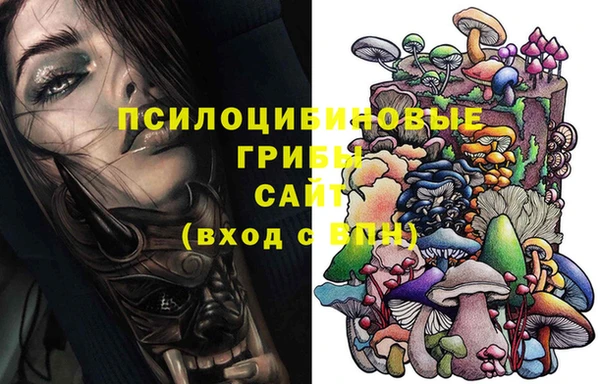 индика Михайловка